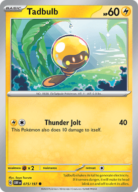 075/197 - Tadbulb