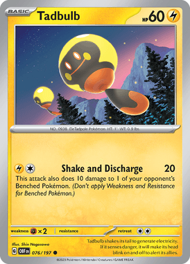 076/197 - Tadbulb