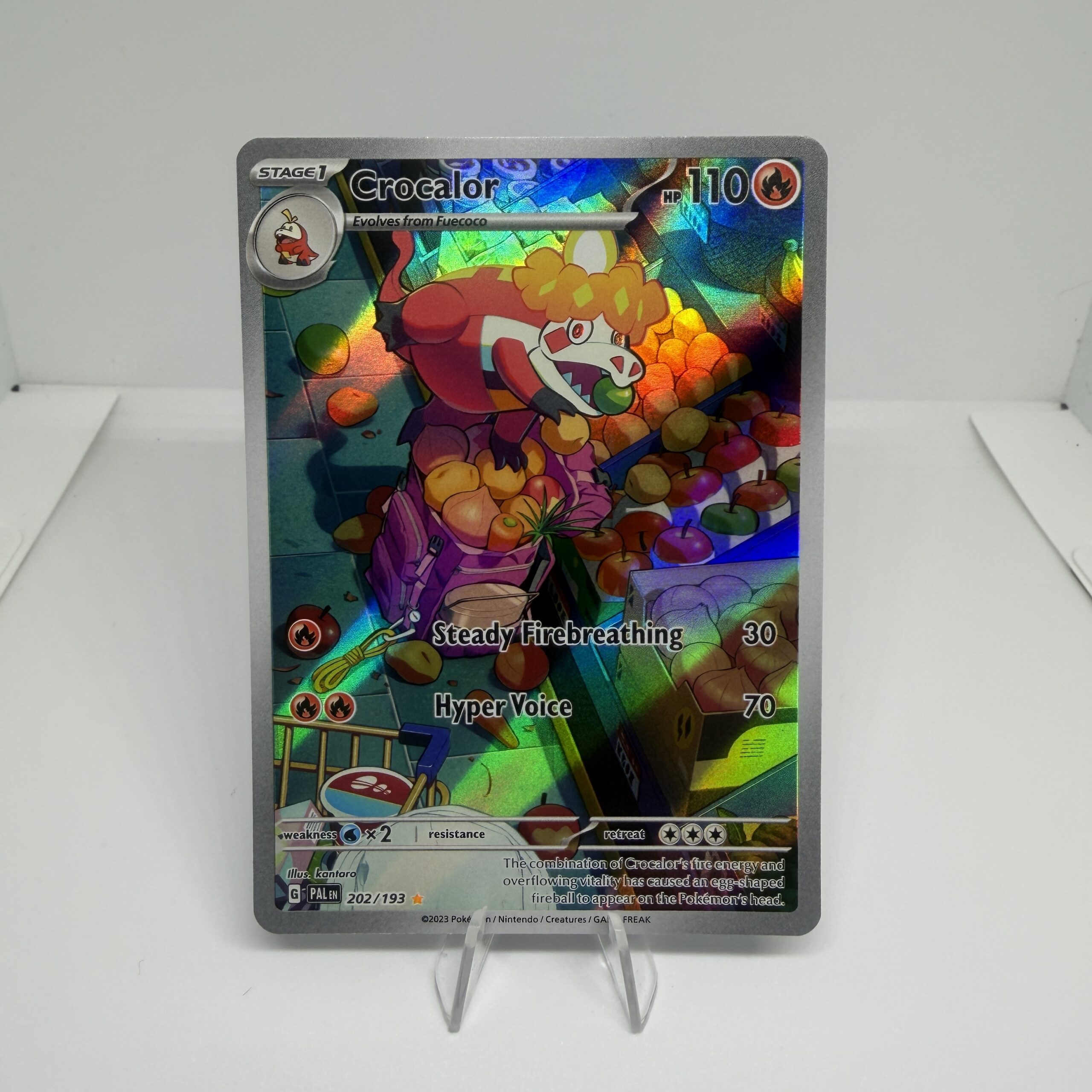 202/193 - Crocalor IR