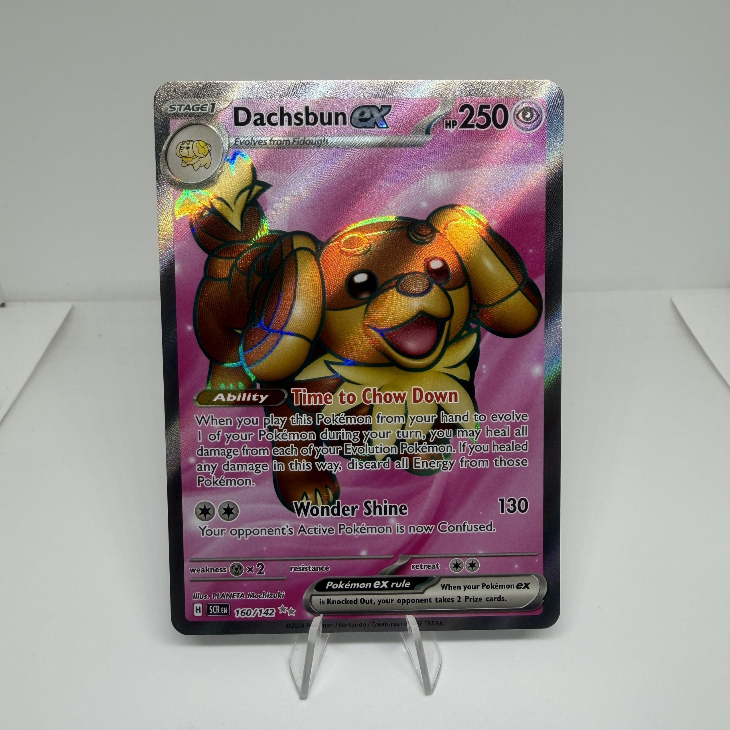 160/142- Dachsbun ex
