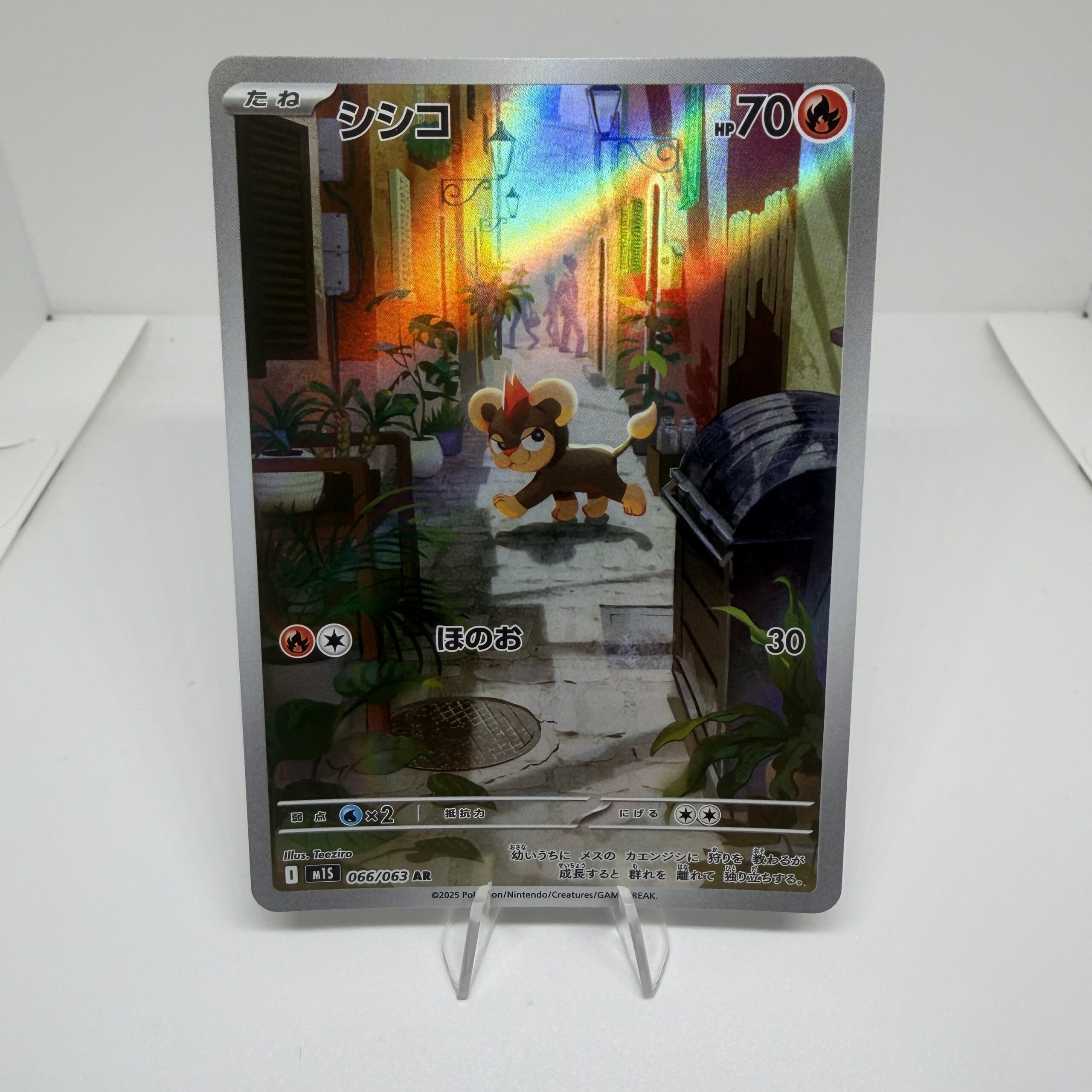 066/063 - Litleo AR m1s Japanese